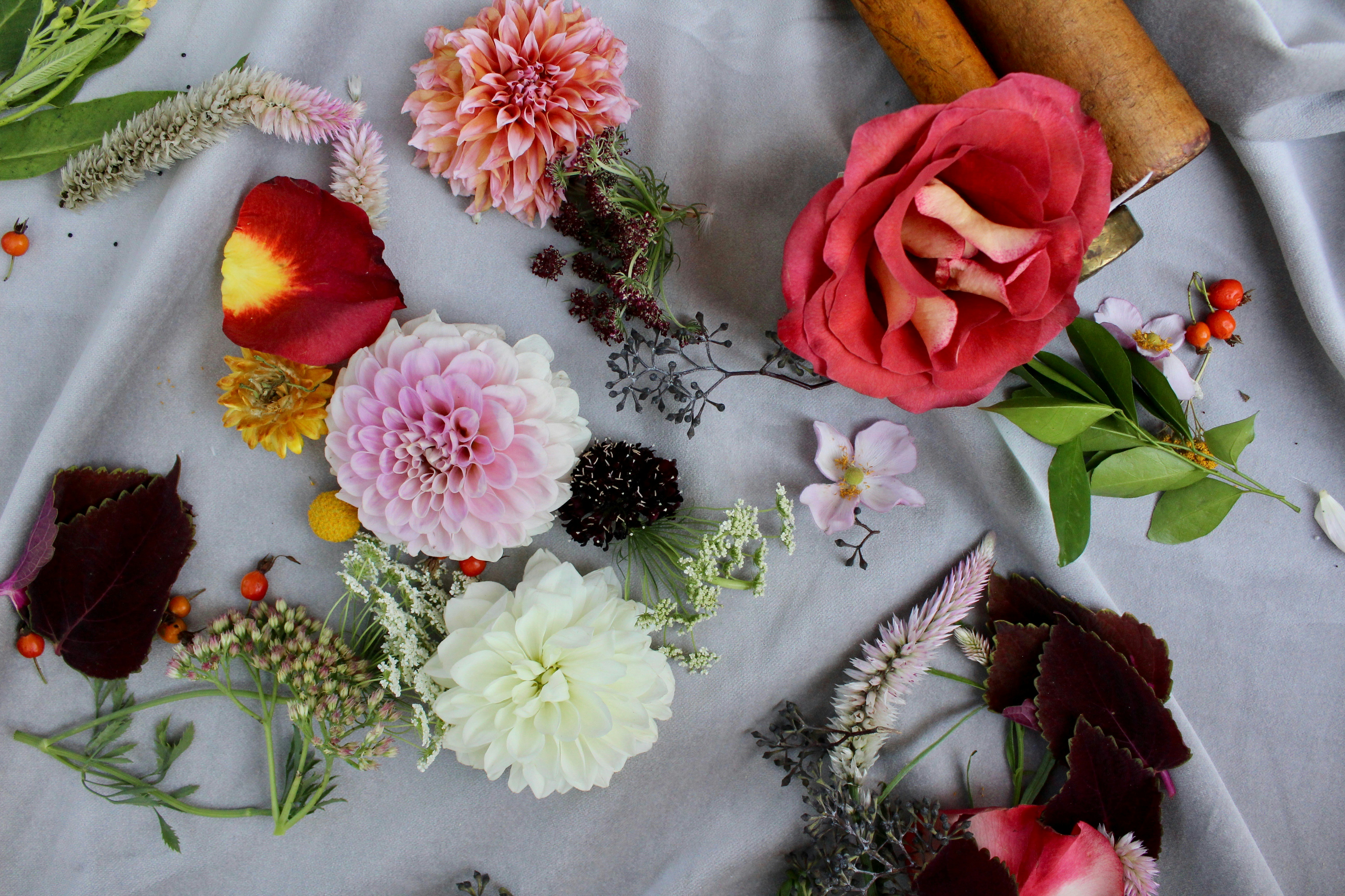 assorted-color cluster flowers