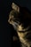 closeup photo of brown tabby cat