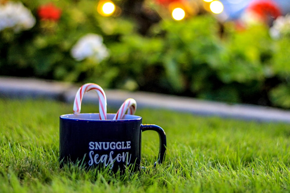 two candy canes in black ceramic coffee mug