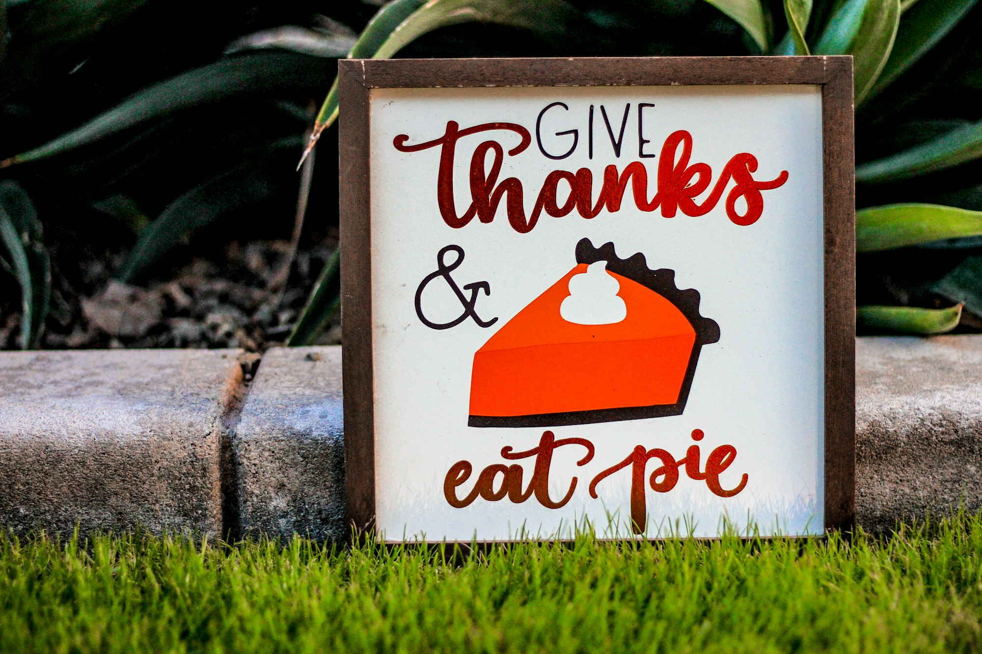 What we're grateful for this Thanksgiving