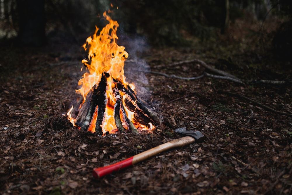 burning firewoods