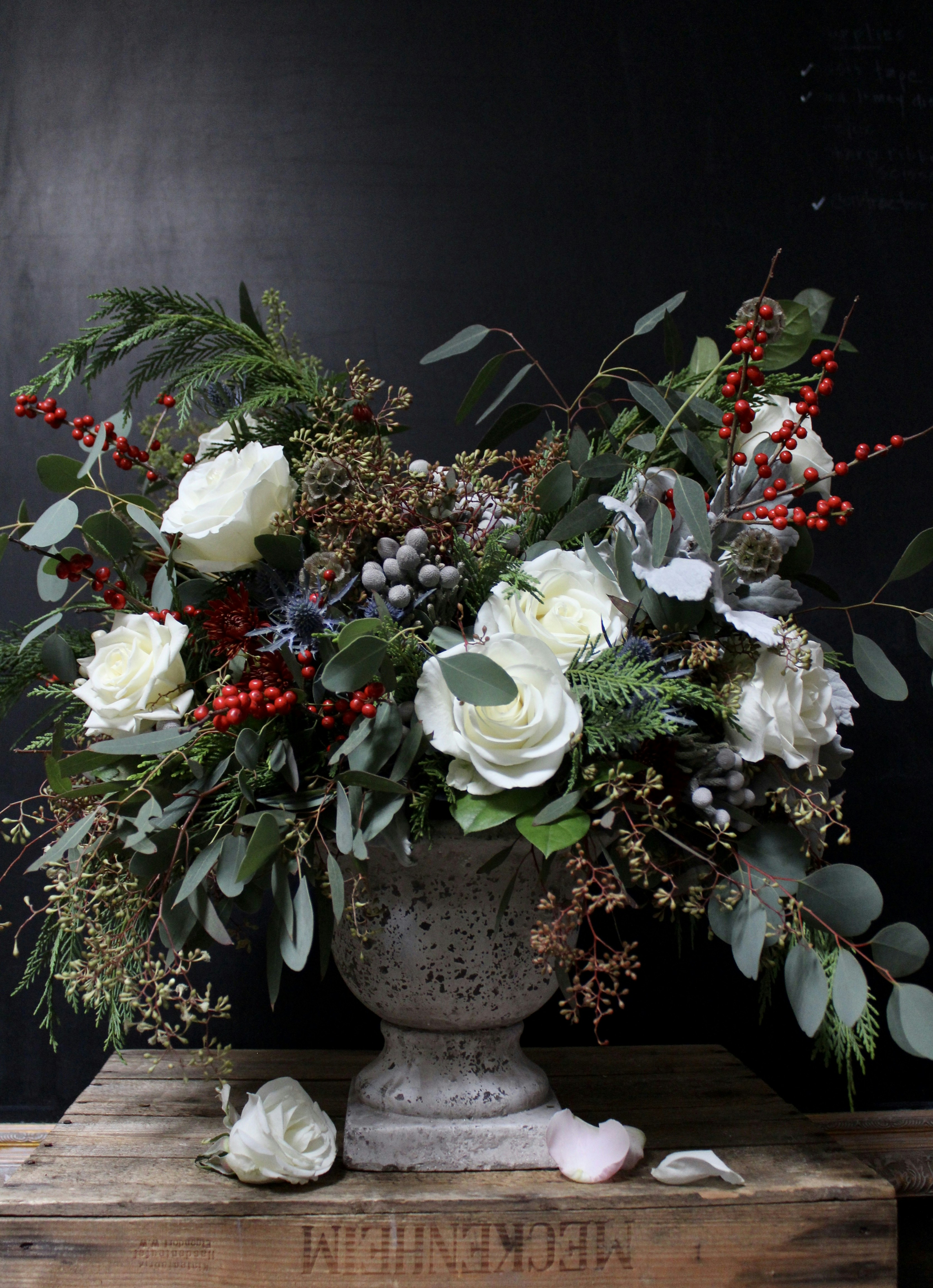 fleurs de rose blanche