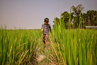 boy wearing grey plaid shirt walking on the grass field