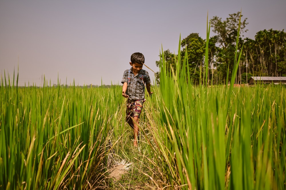 boy wearing grey plaid shirt walking on the grass field