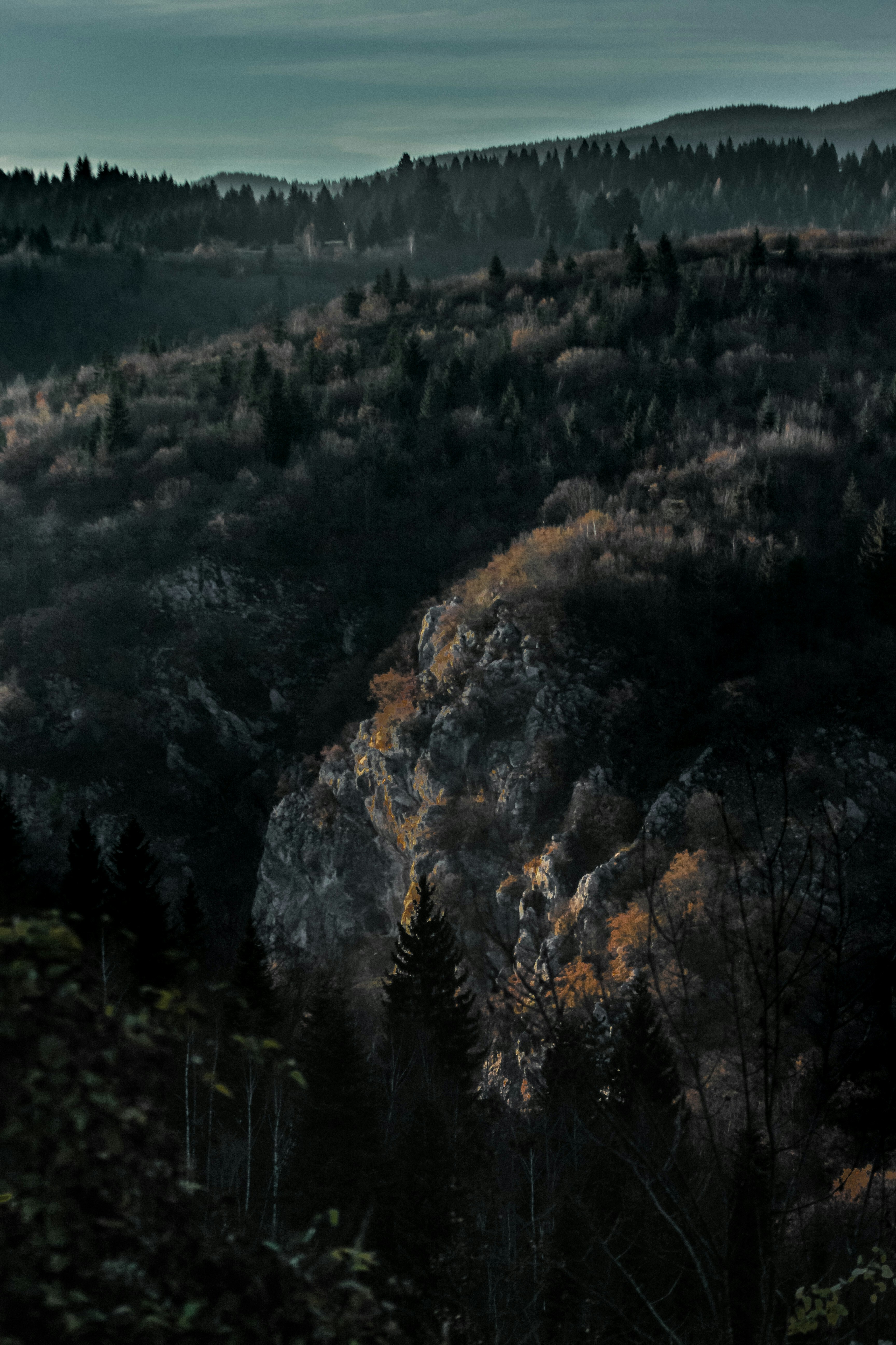 Photo by valentinsalja