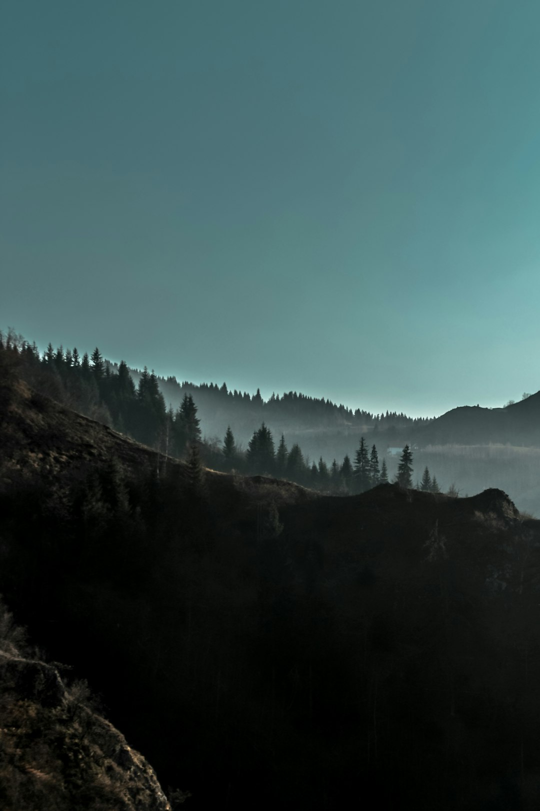 aerial photography of mountain cover with trees