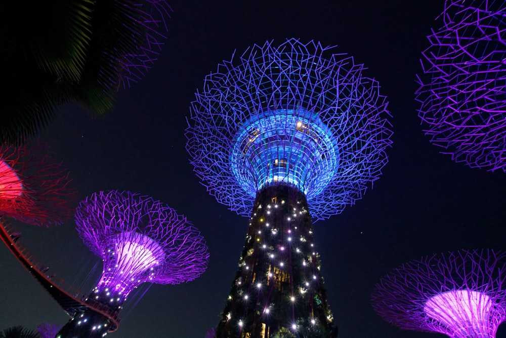 Gardens by the Bay at night