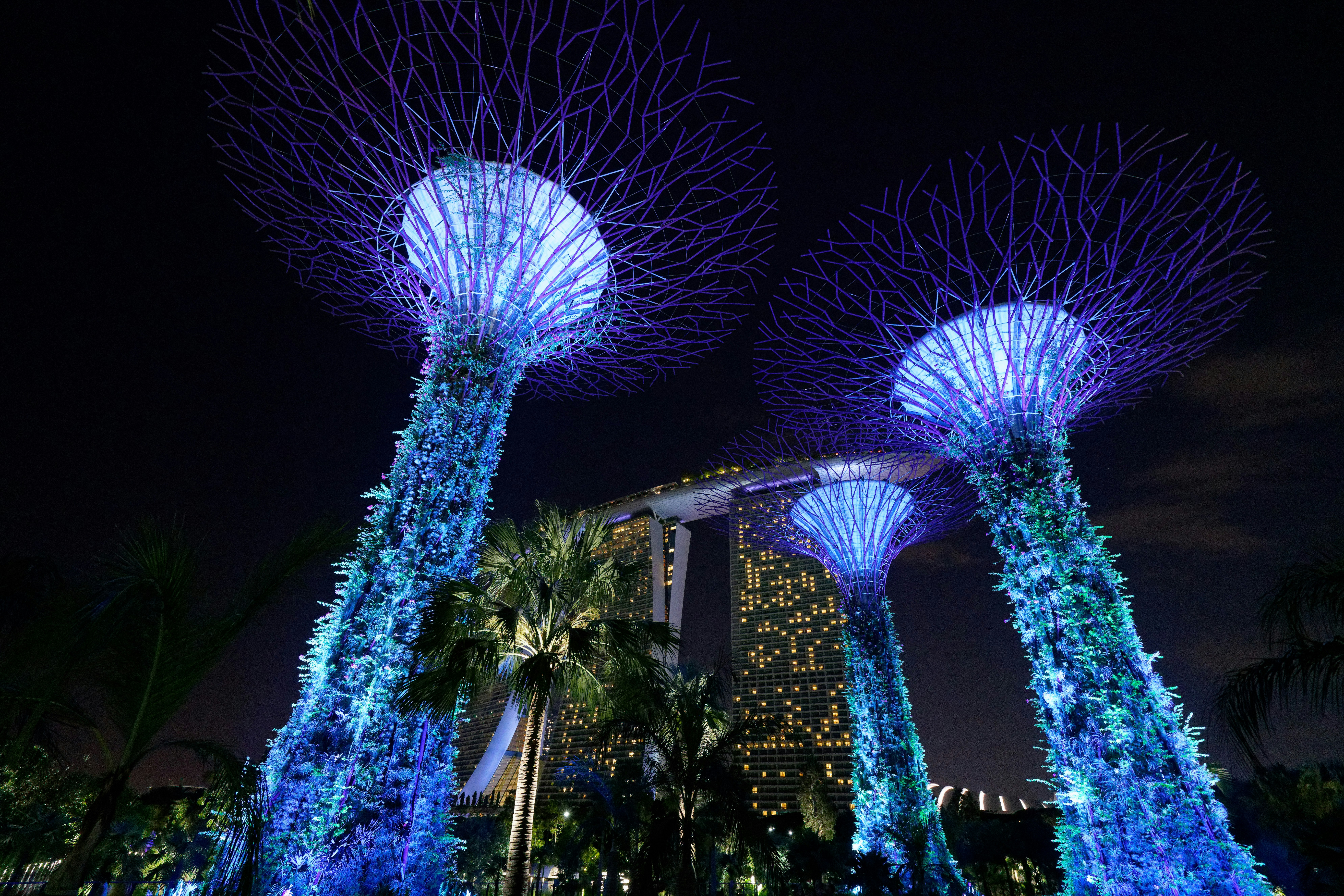 Gardens by the bay at night