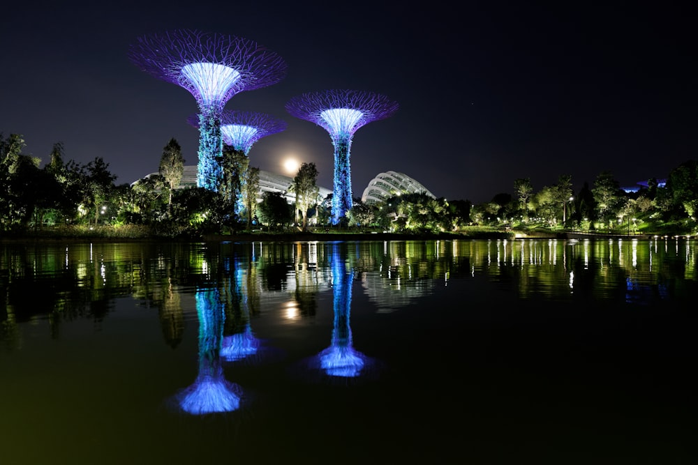 a couple of trees that are in the water