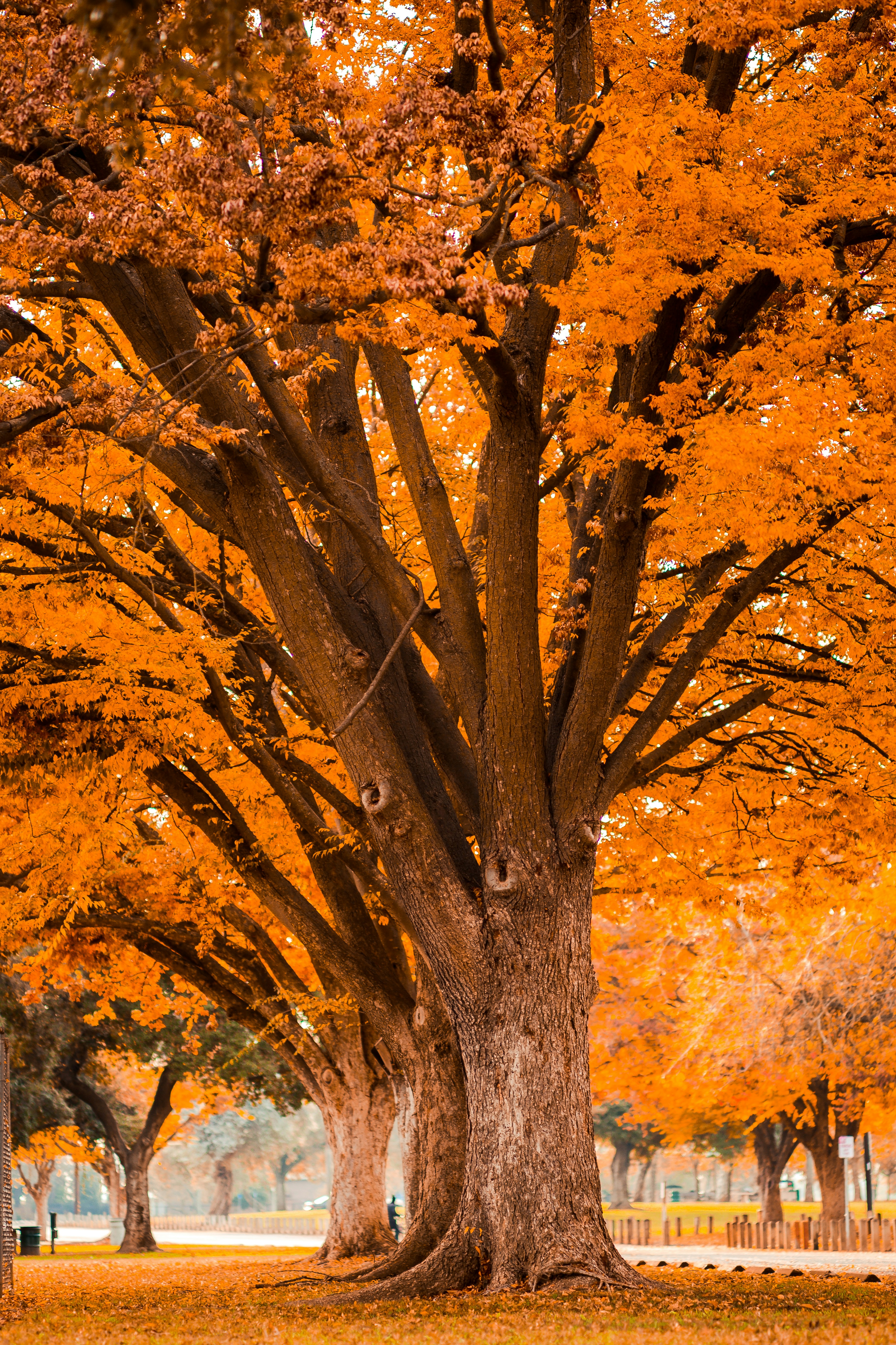 Photo by ruvimnogaphoto