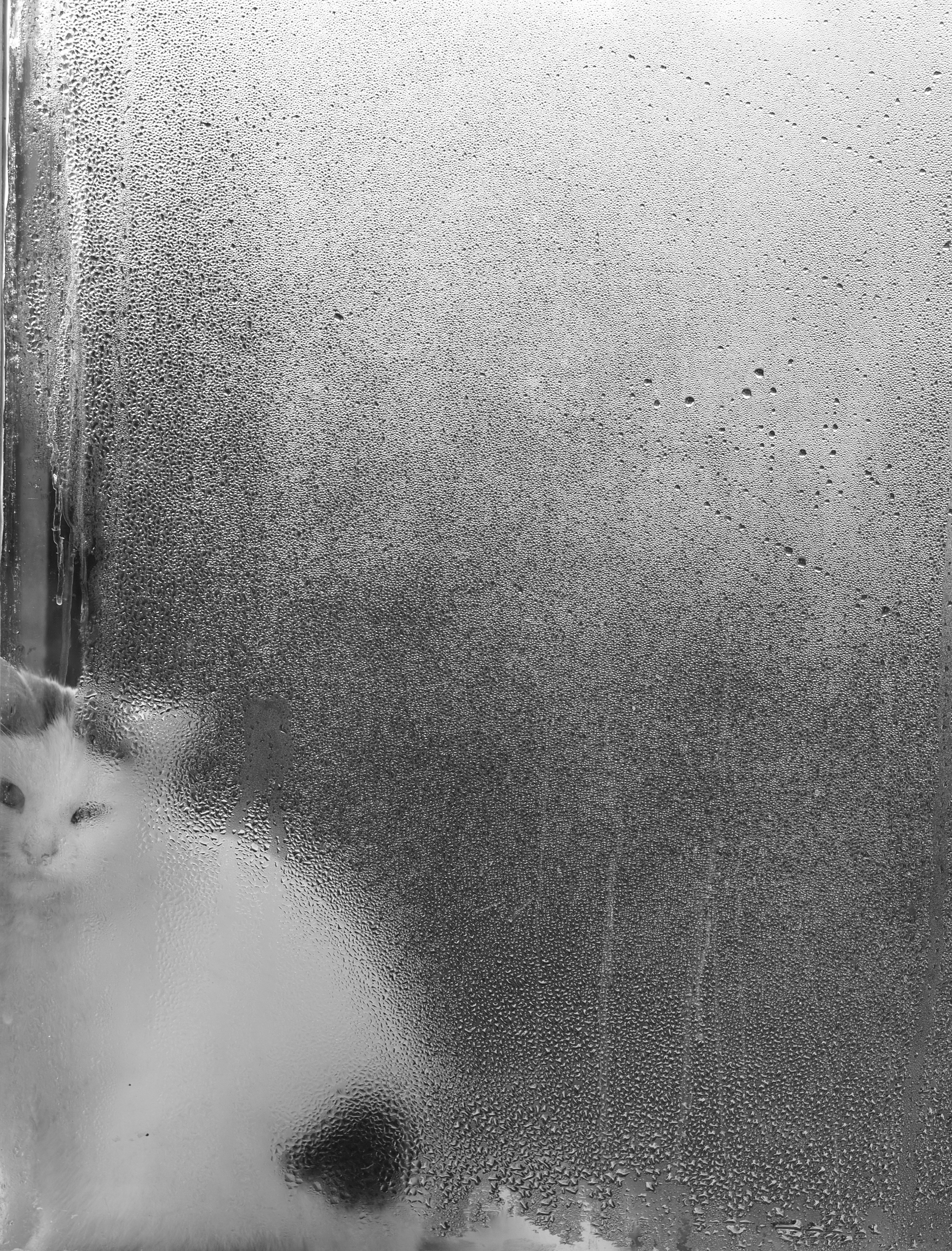 Observing Weather Changes (image credits: unsplash)