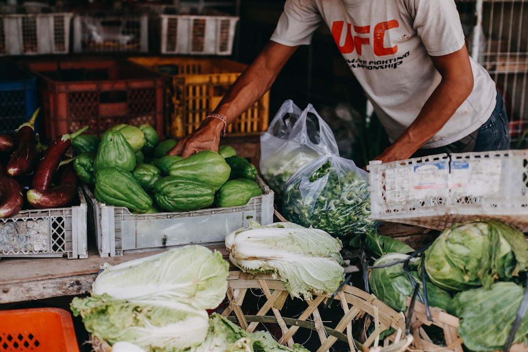 man holding chayote near cabbage