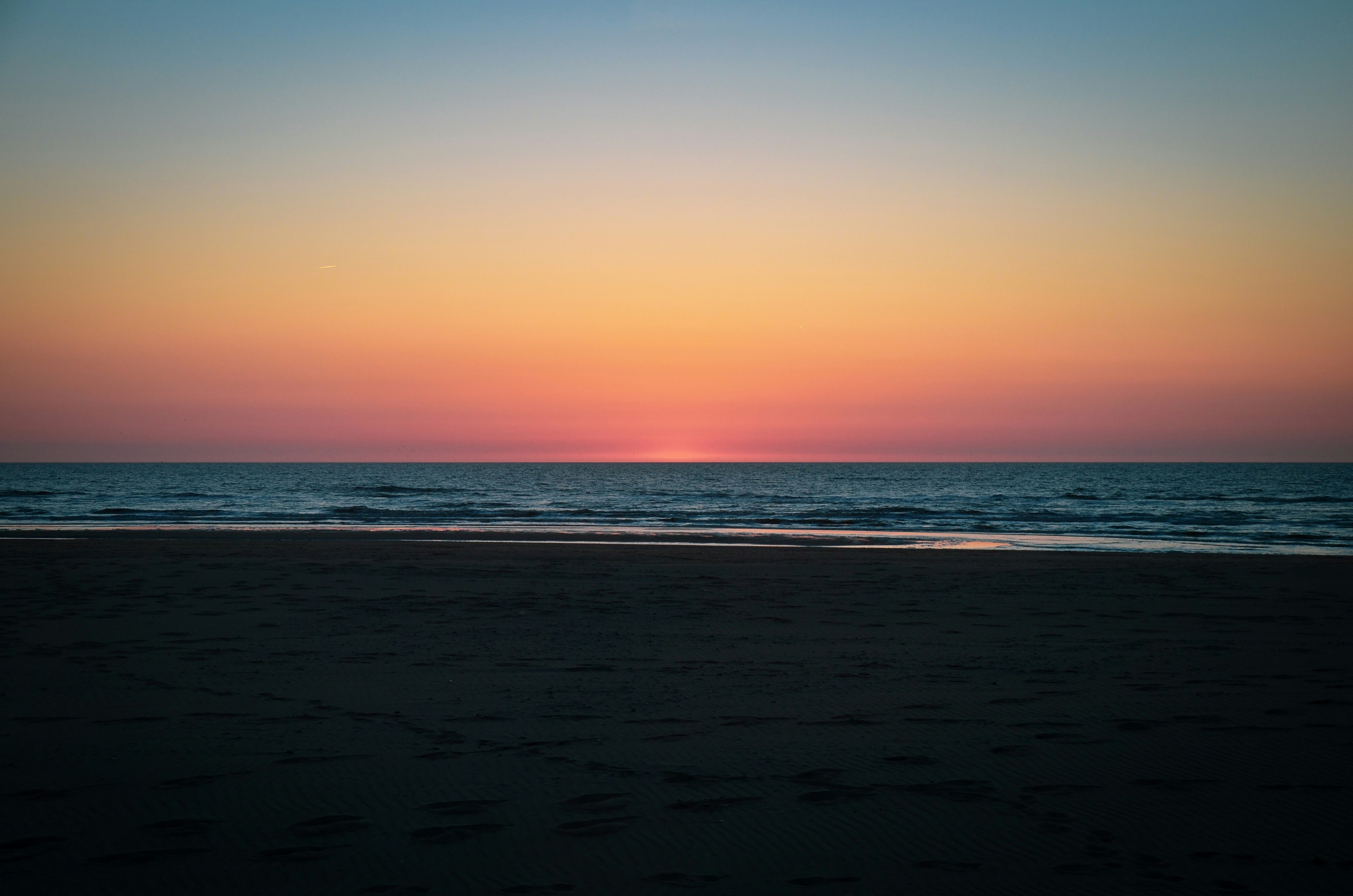 Image de Expérience électro en plein air sur la plage corse de Palombaggia