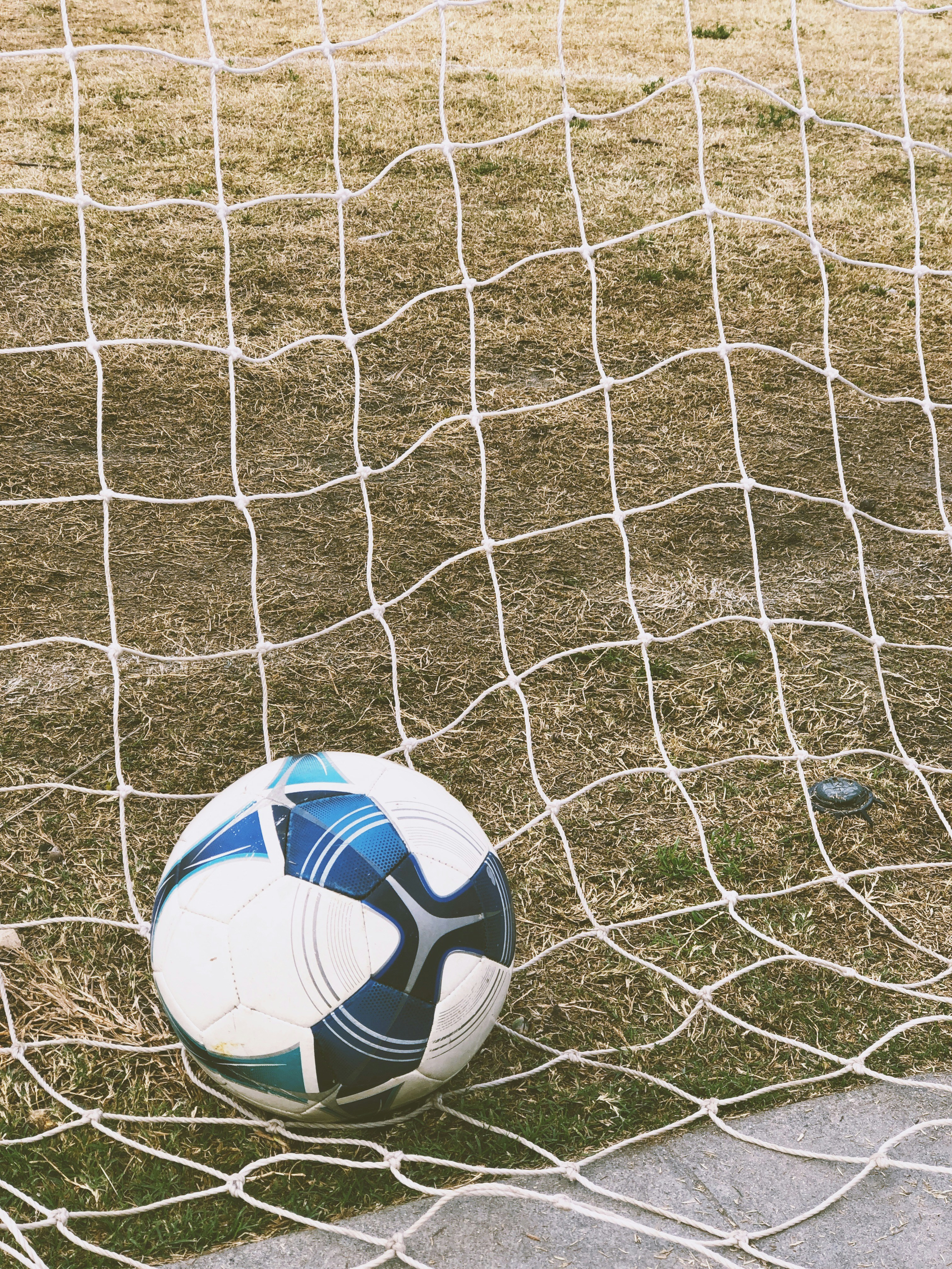 white and blue soccer ball on ground inside goal