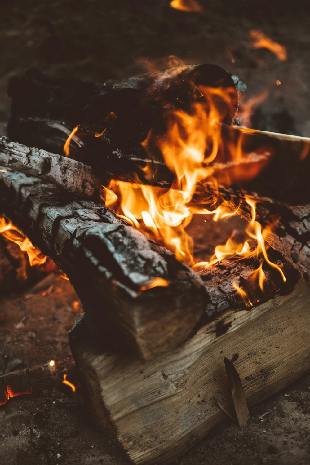 closeup photography of burning wood
