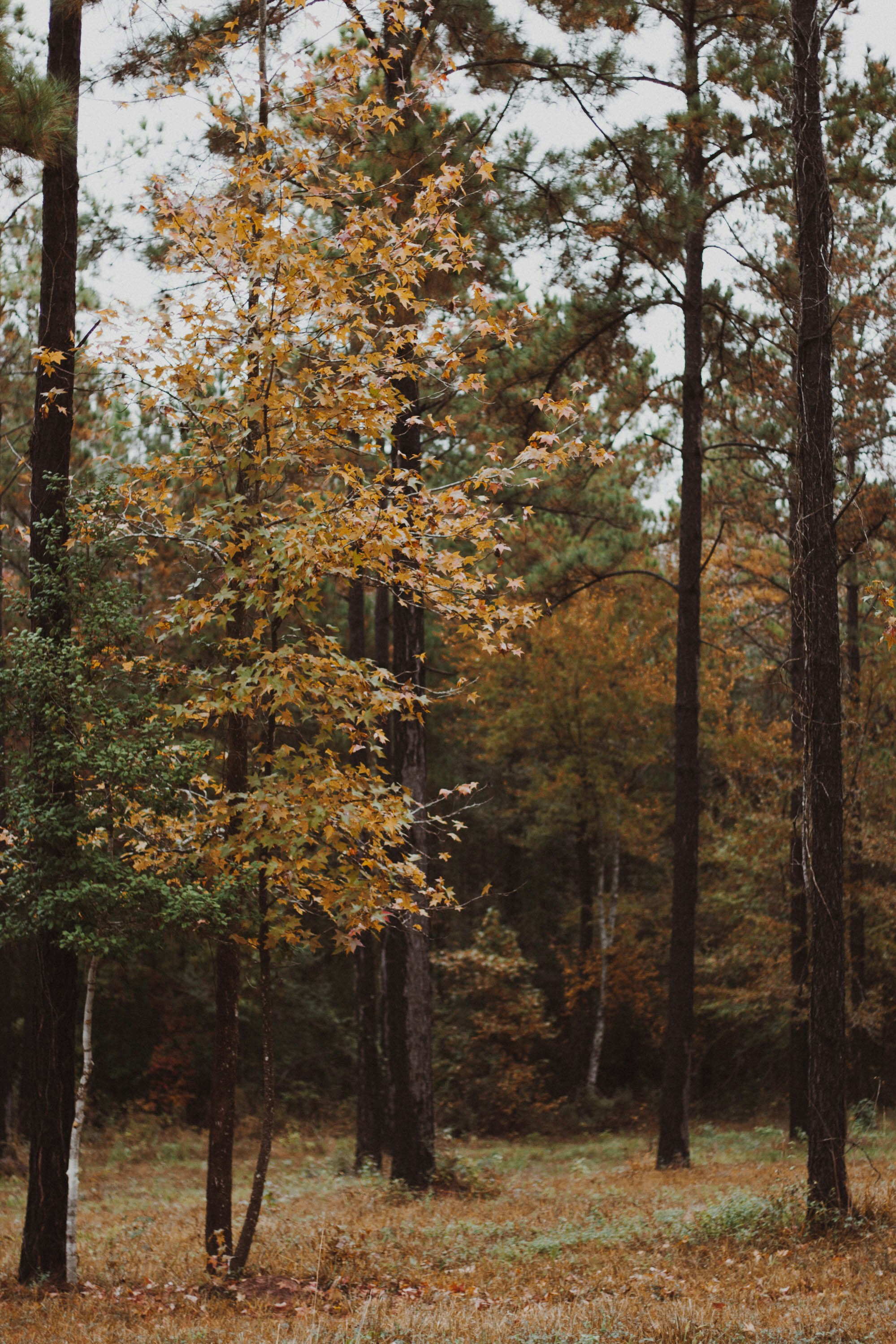 Photo by rachelcoyne