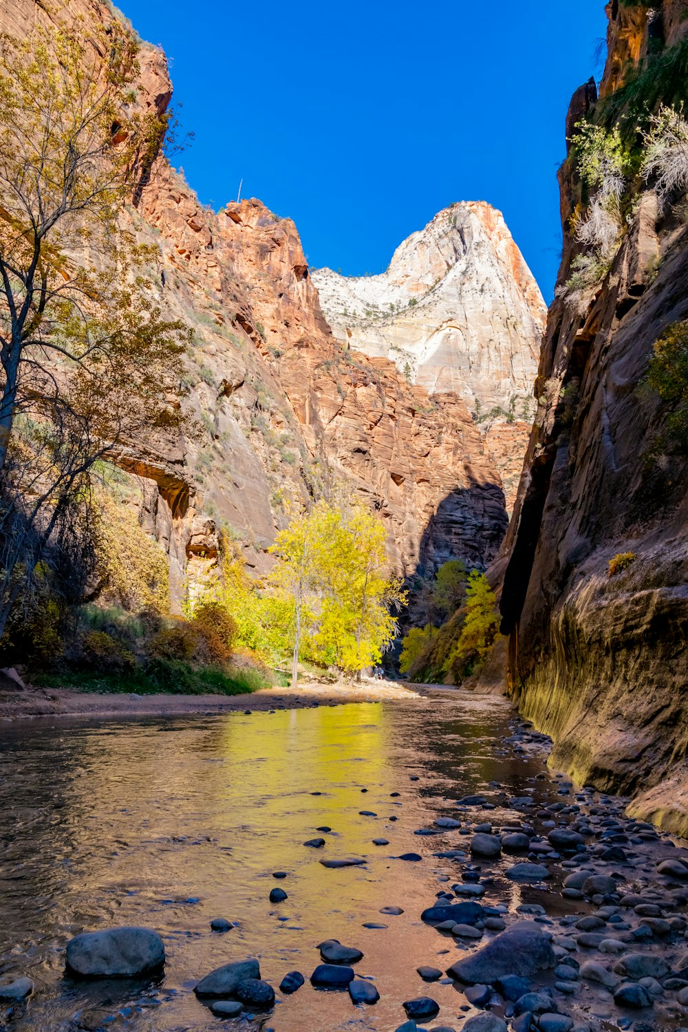 rocks on river near mountain