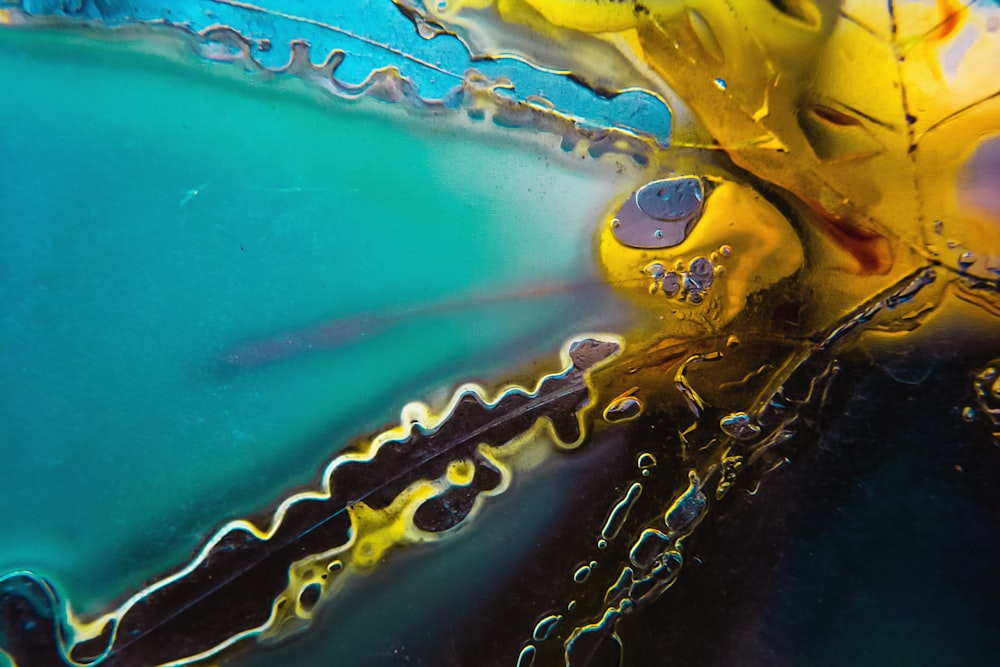 a close up of a blue and yellow flower