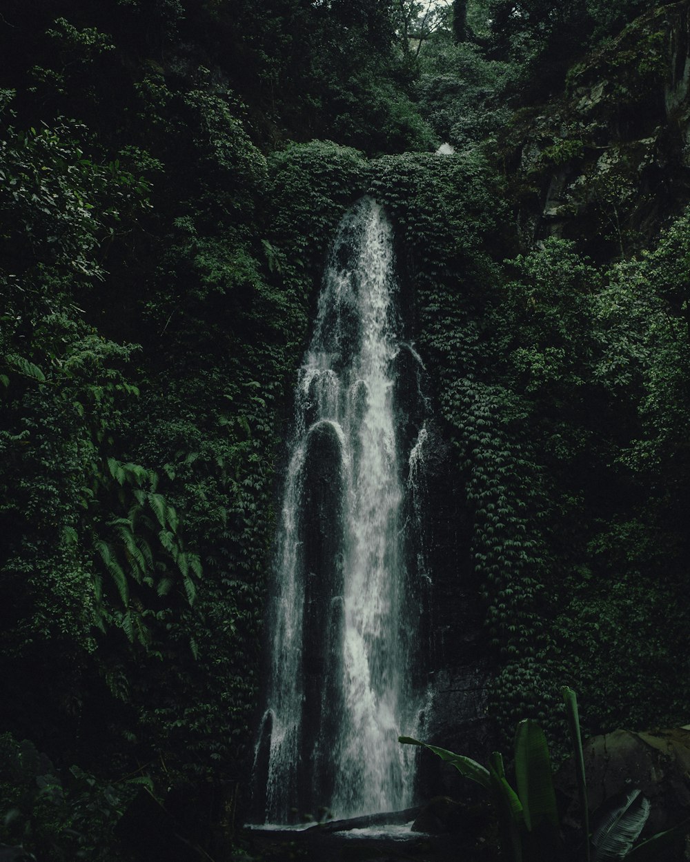 selective focus photography of waterfalls during daytime