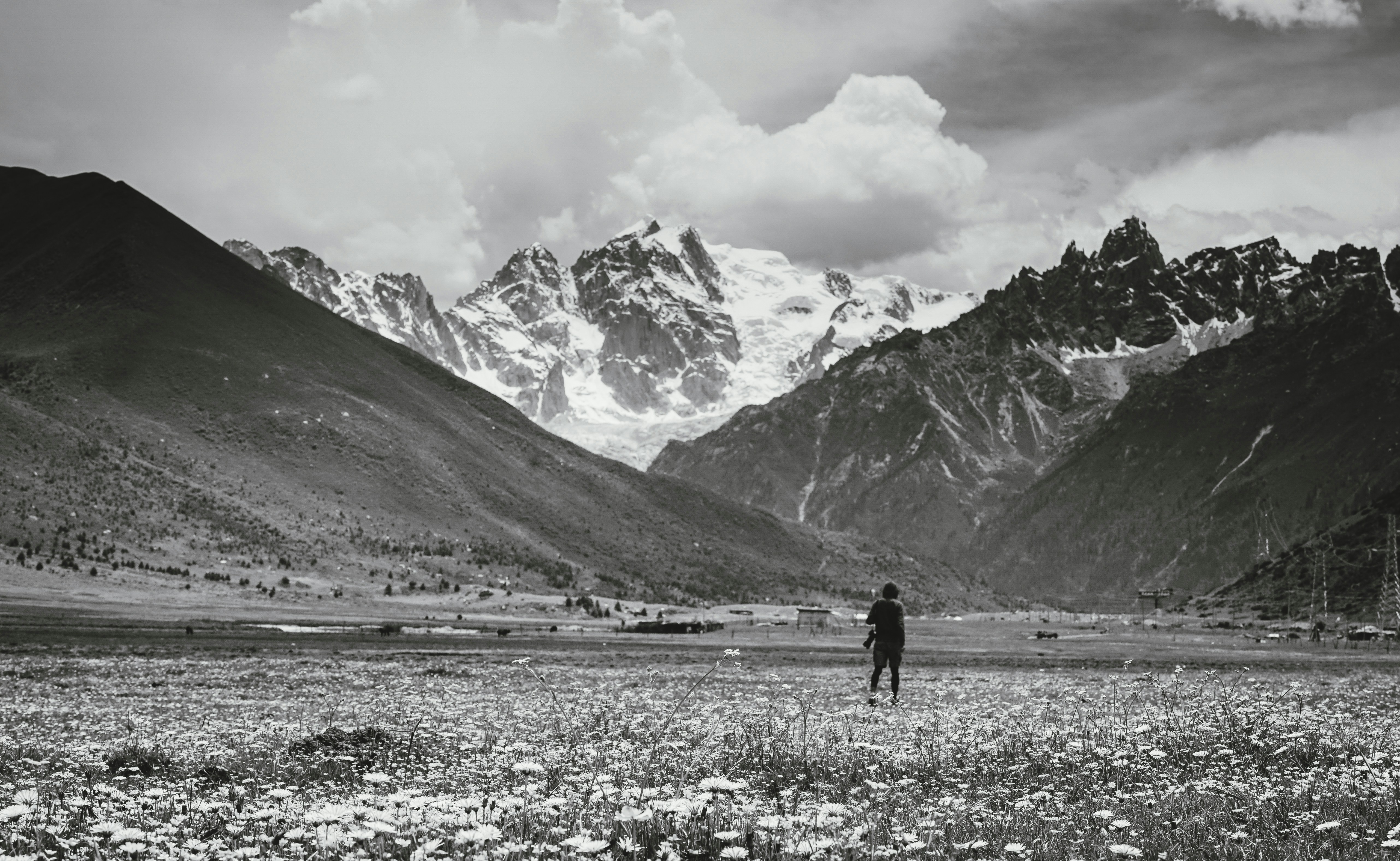 20 Must-Read Genghis Khan Quotes to Fuel Ambition Now