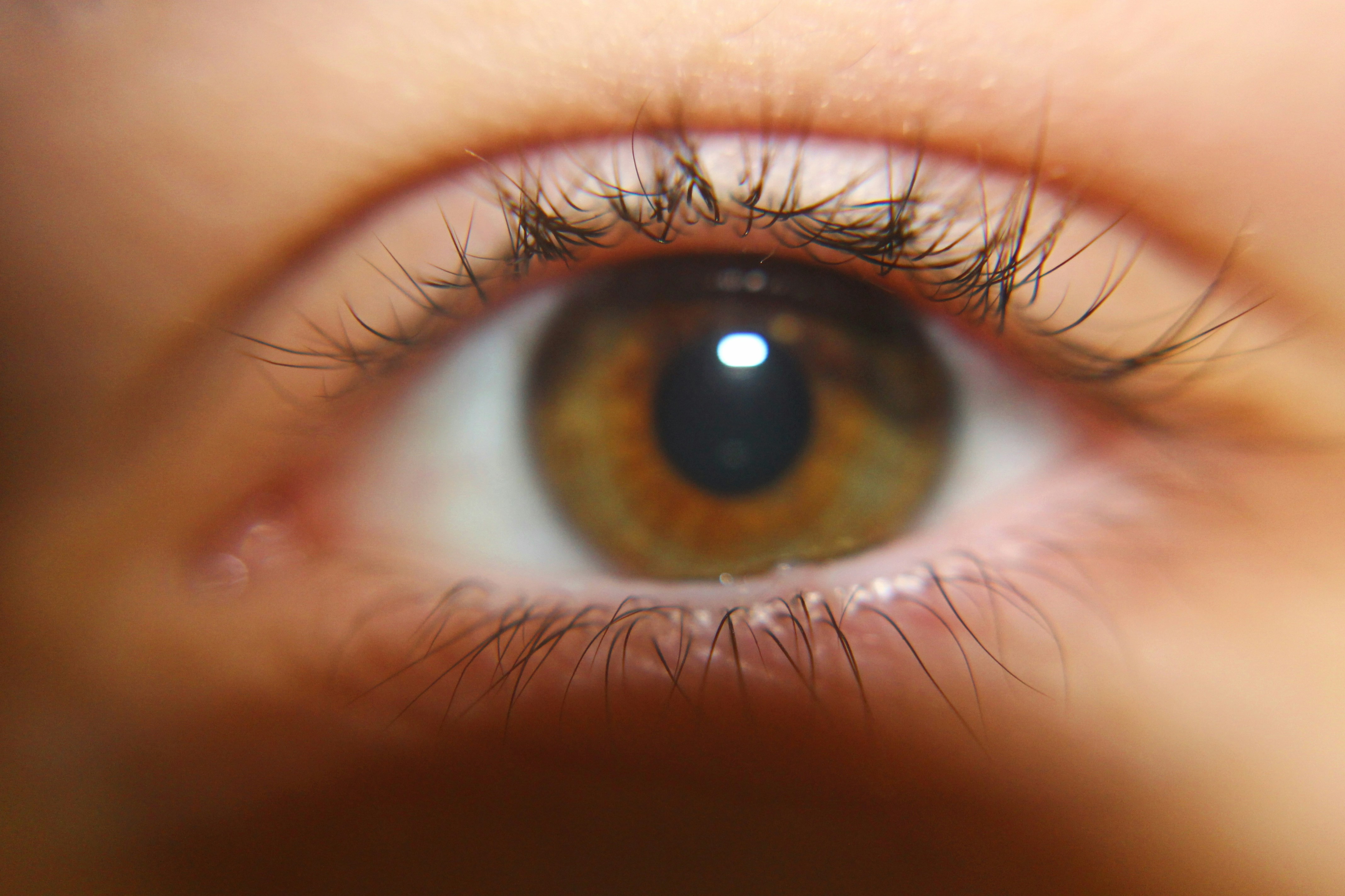 H33. Светло карие глаза. Глаза 1 4. Глаз человека вблизи. Красивые радужки глаз.