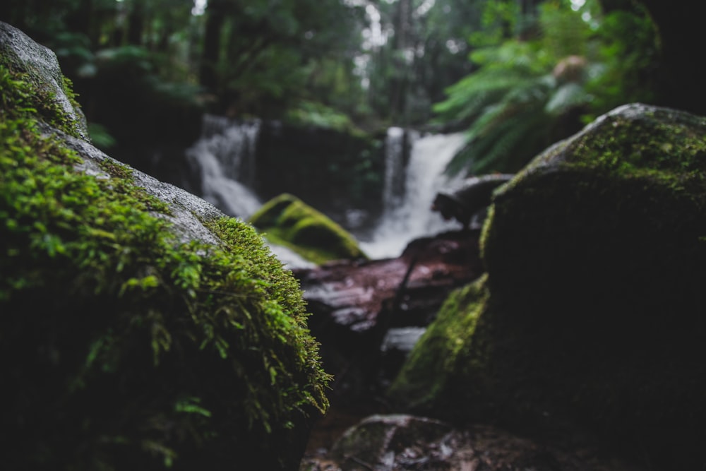 waterfall during daytime close-up photography