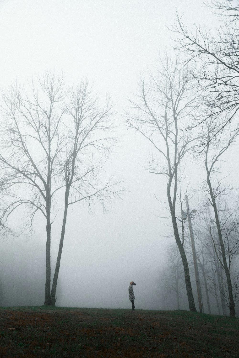 persona in una foresta nebbiosa