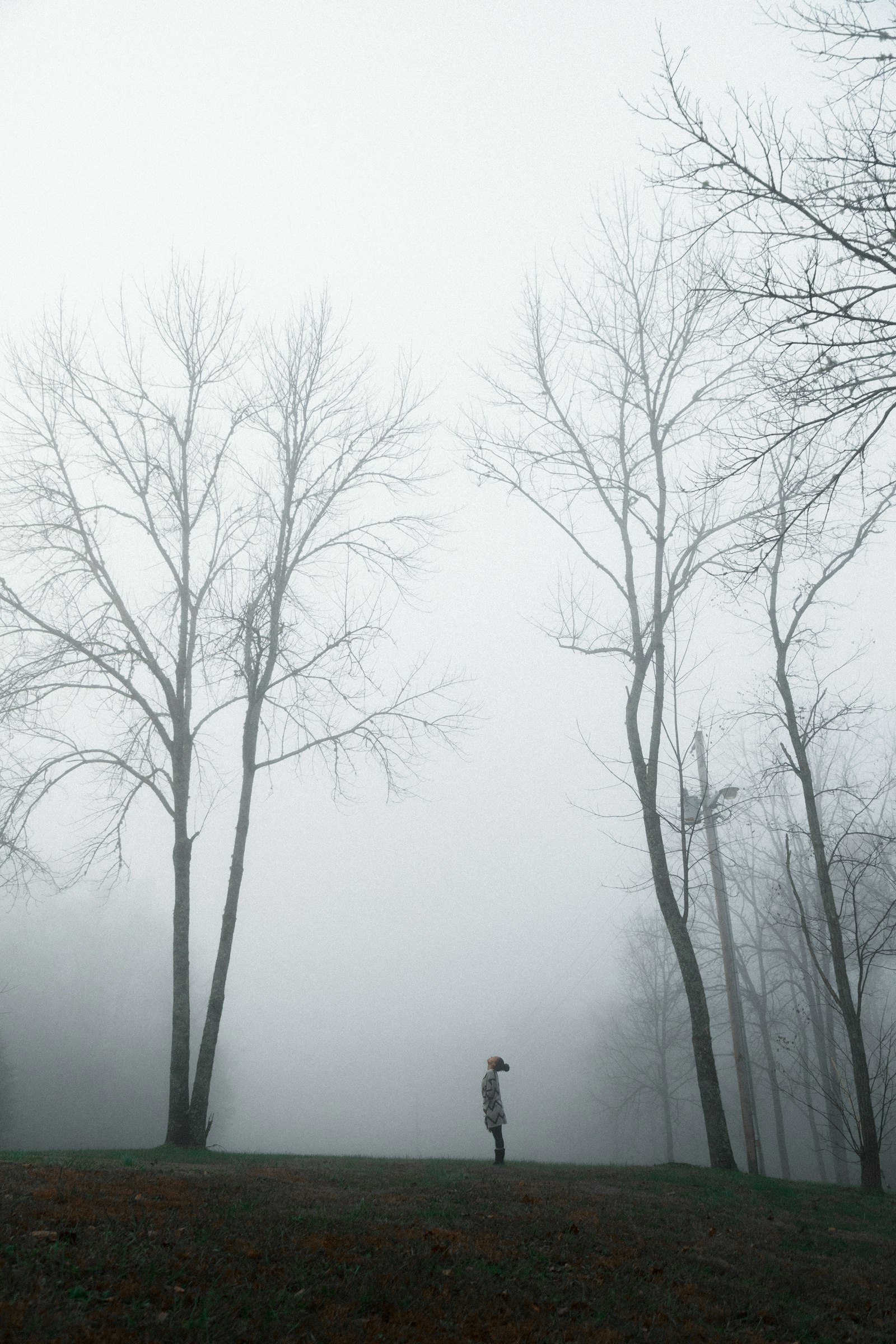 Canon EOS 6D Mark II + Canon EF 24-105mm F4L IS USM sample photo. Person in a foggy photography