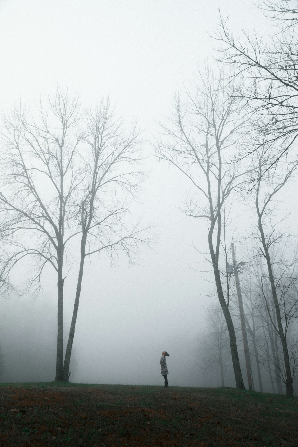 person in a foggy forest