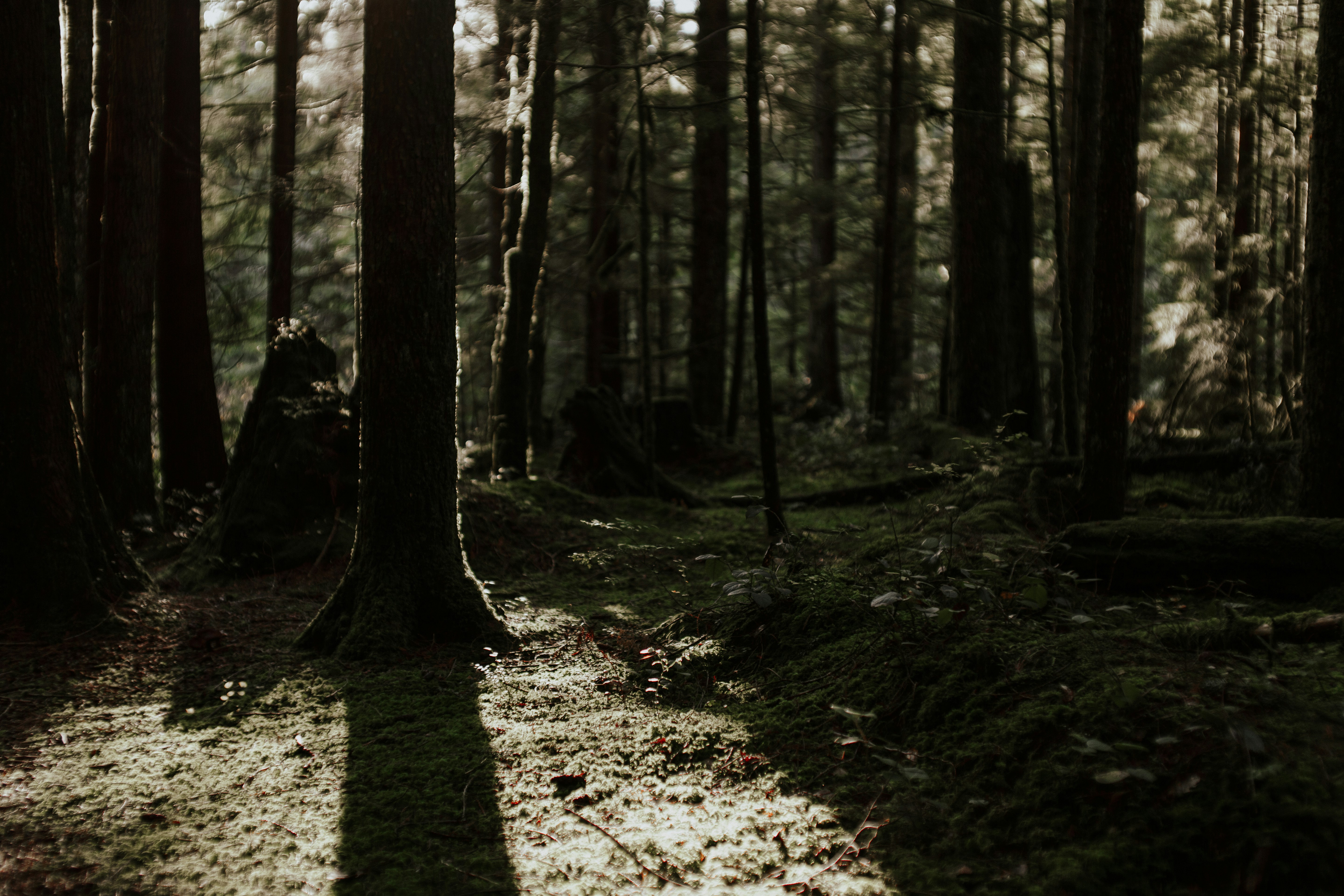 Photo by dani__buckle