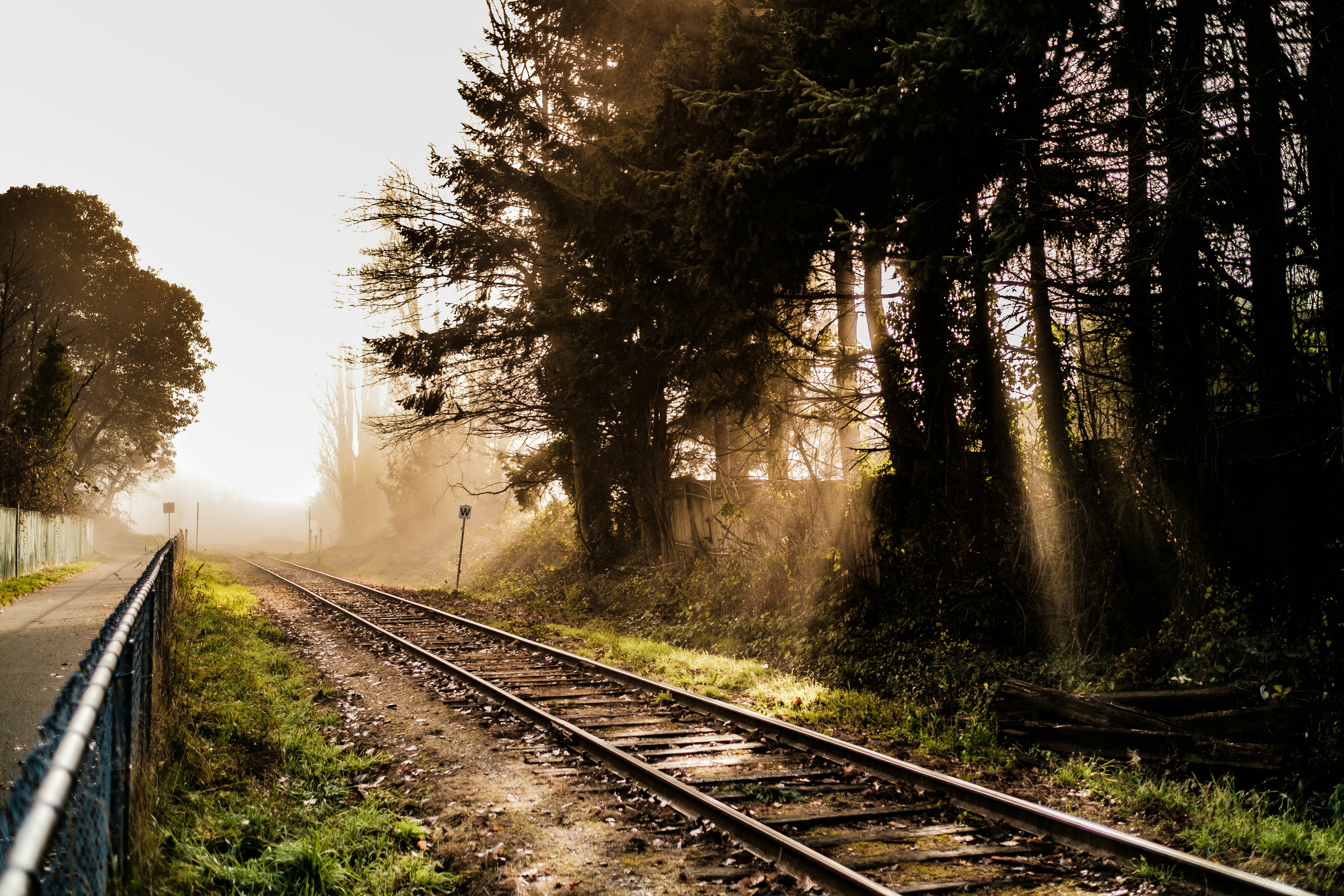 train