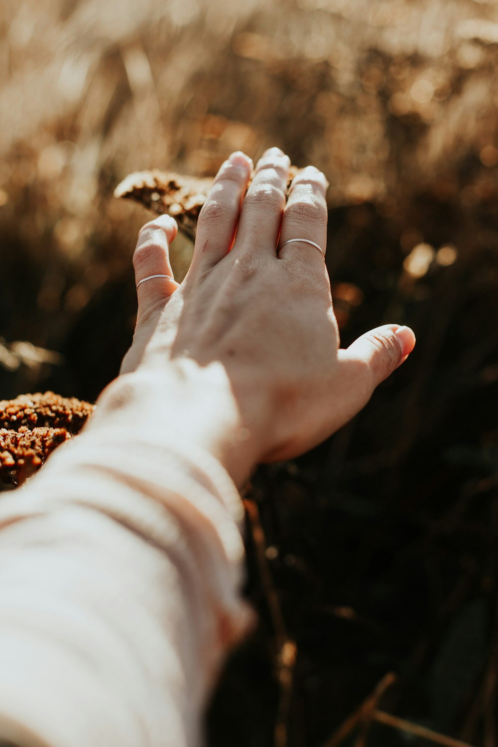 person holding grass