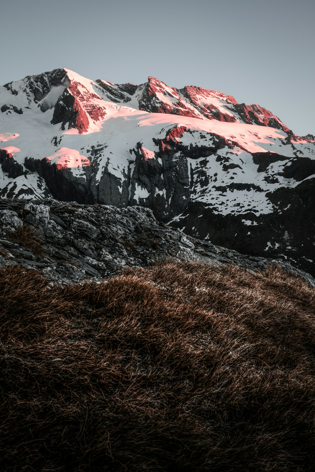 grass field near snow