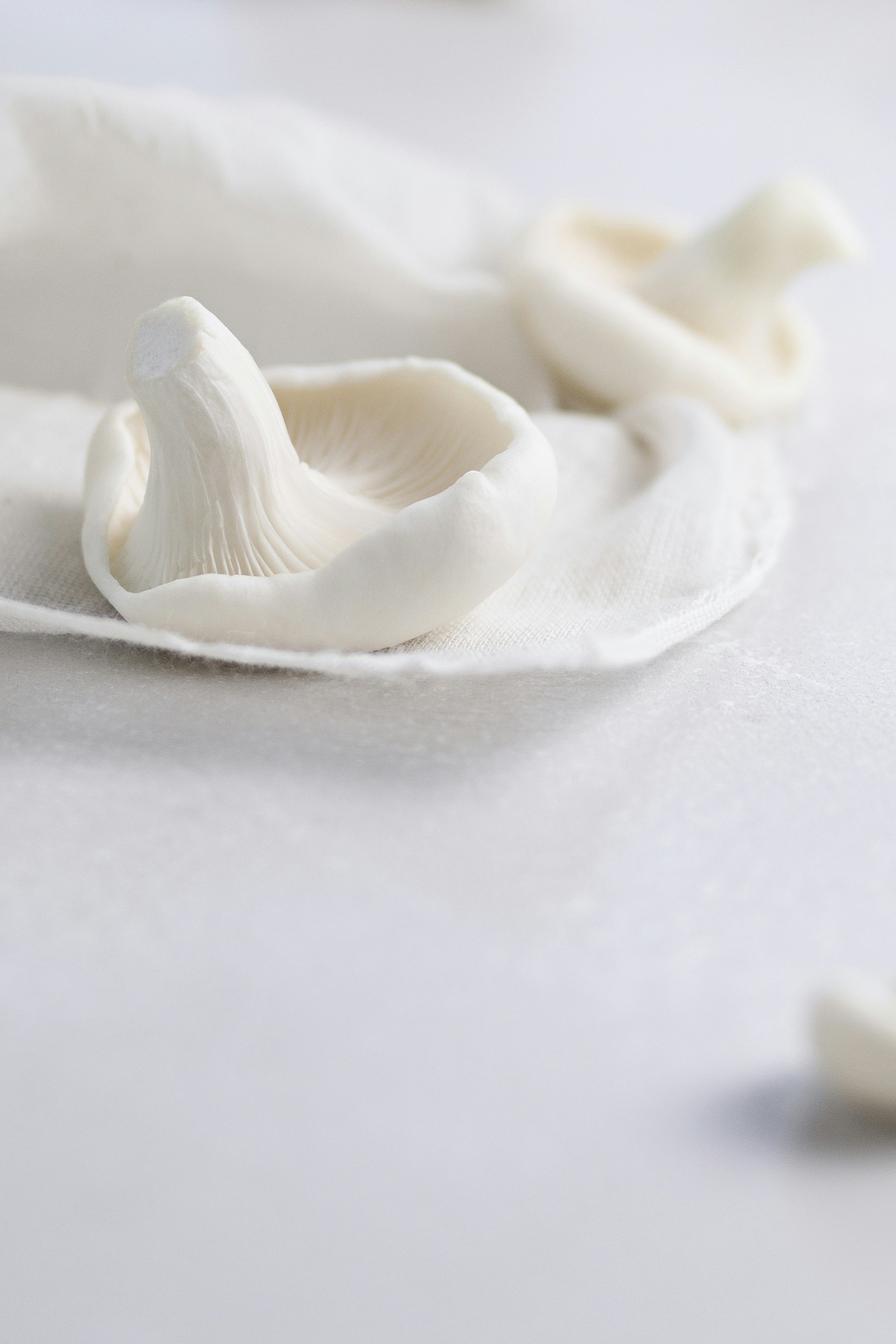 Photo by dani_r_photos