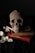 gray skull on top of brown book