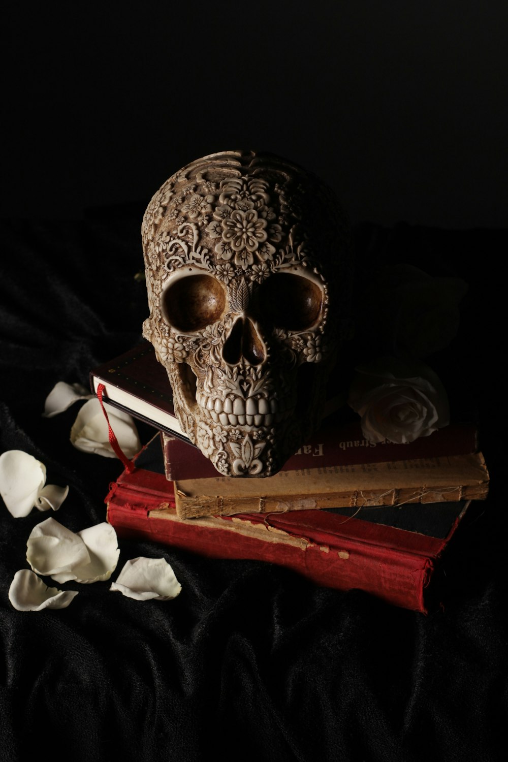 gray skull on top of brown book