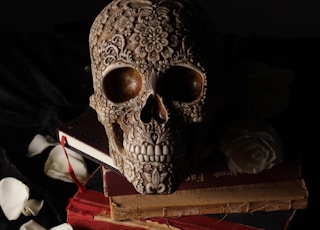 gray skull on top of brown book