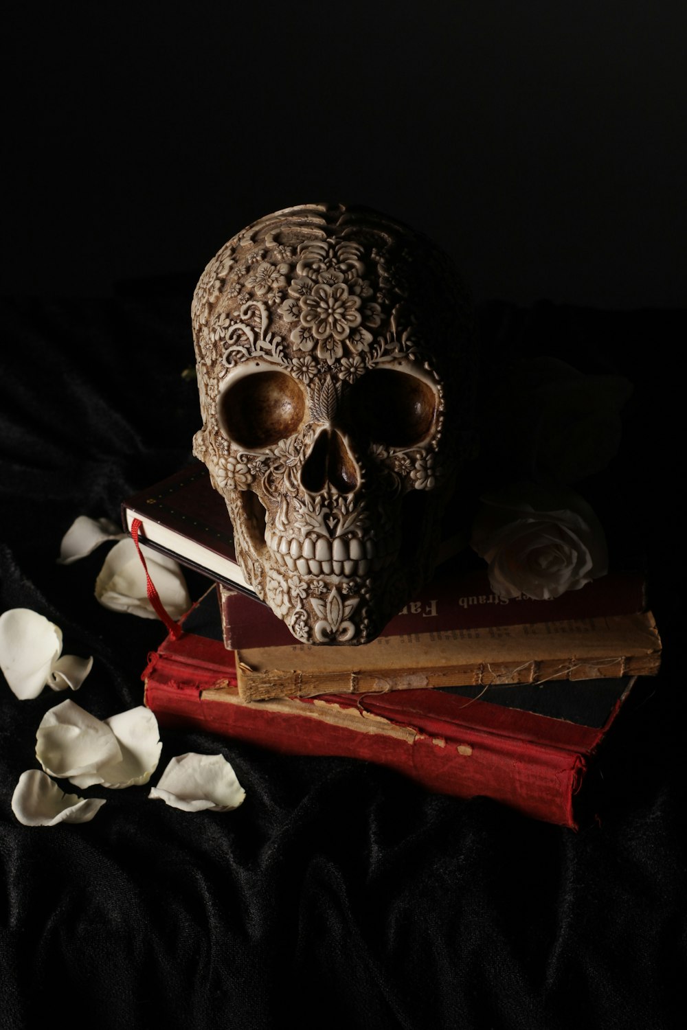 grauer Totenkopf auf braunem Buch