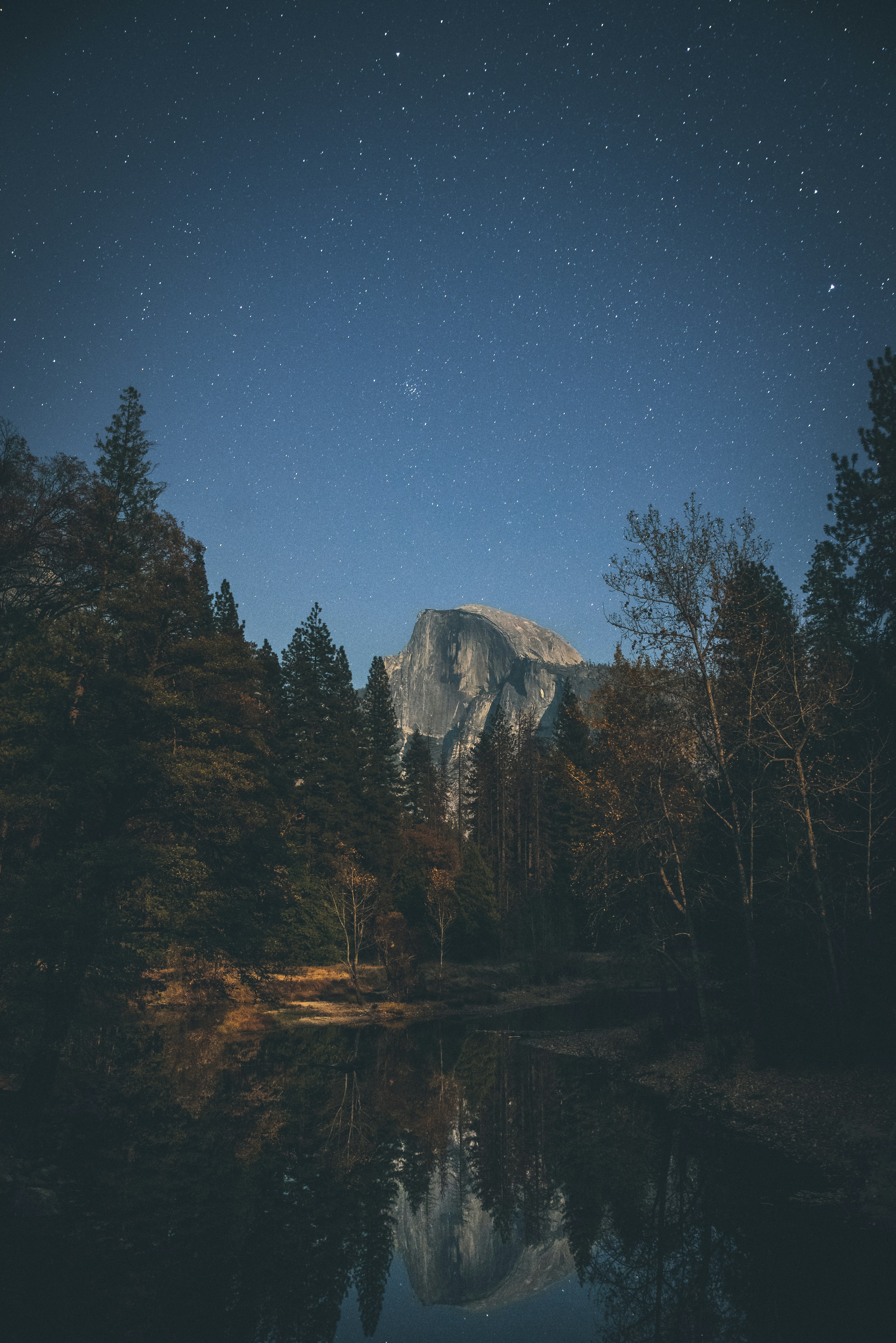 body of water and trees