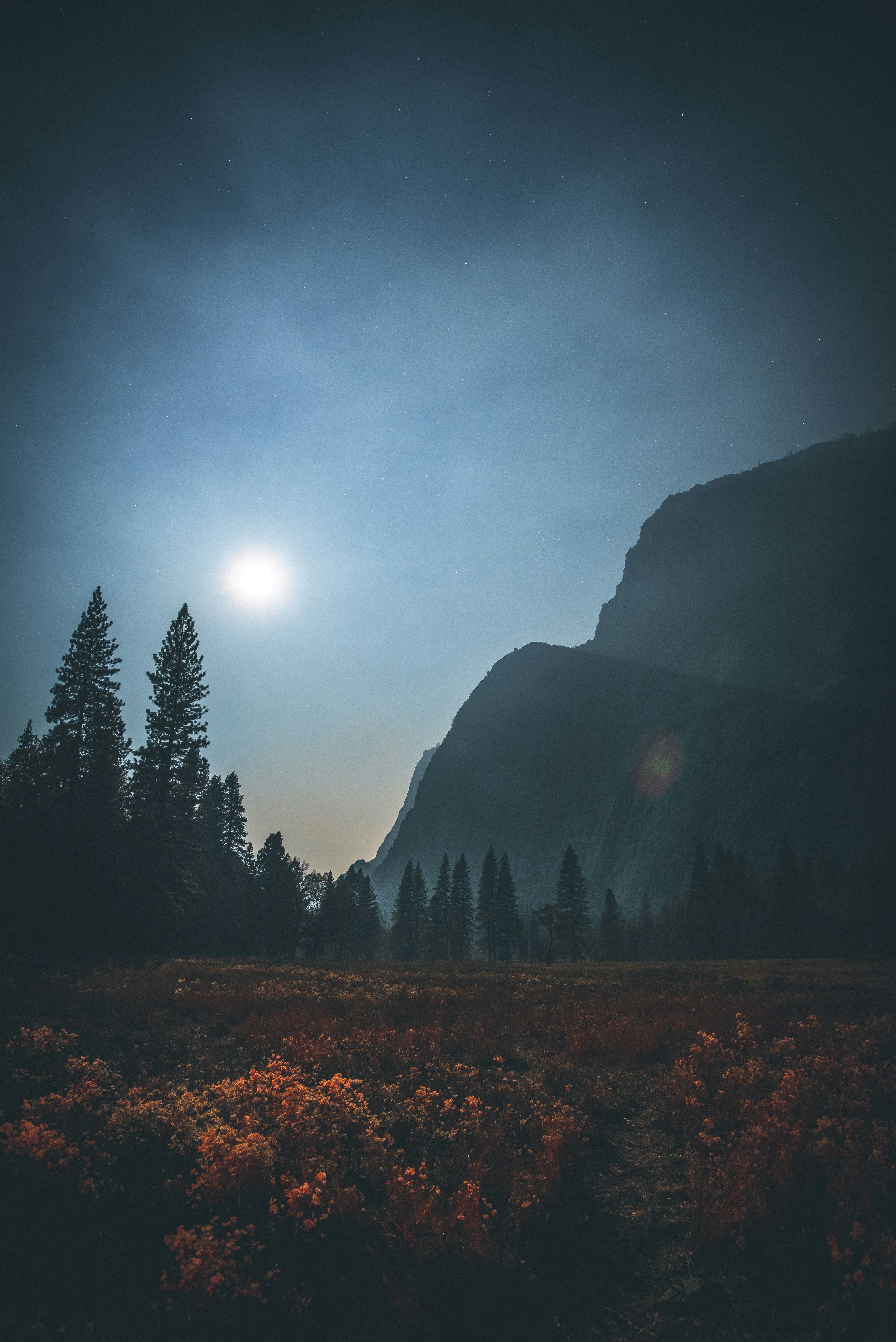 Moonlight Between Steps (Solitary Moments & Reflection)