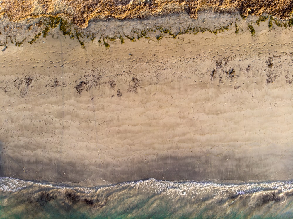 aerial photography of shore during daytime