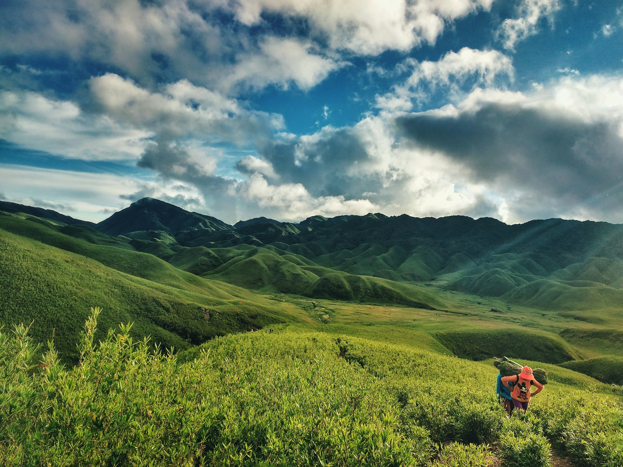 Dzuko Valley misty green hills in Nagaland