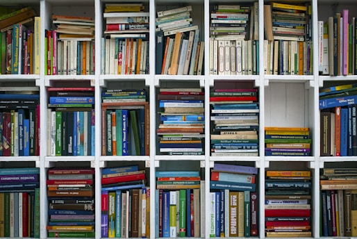 assorted books on wooden shelf