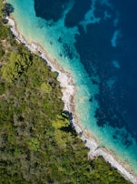 An aerial view of a coastal area features a vibrant blue ocean meeting a rocky shoreline. The coastal edge is lined with dense, green forestation, creating a clear contrast between the natural greenery and the turquoise water.