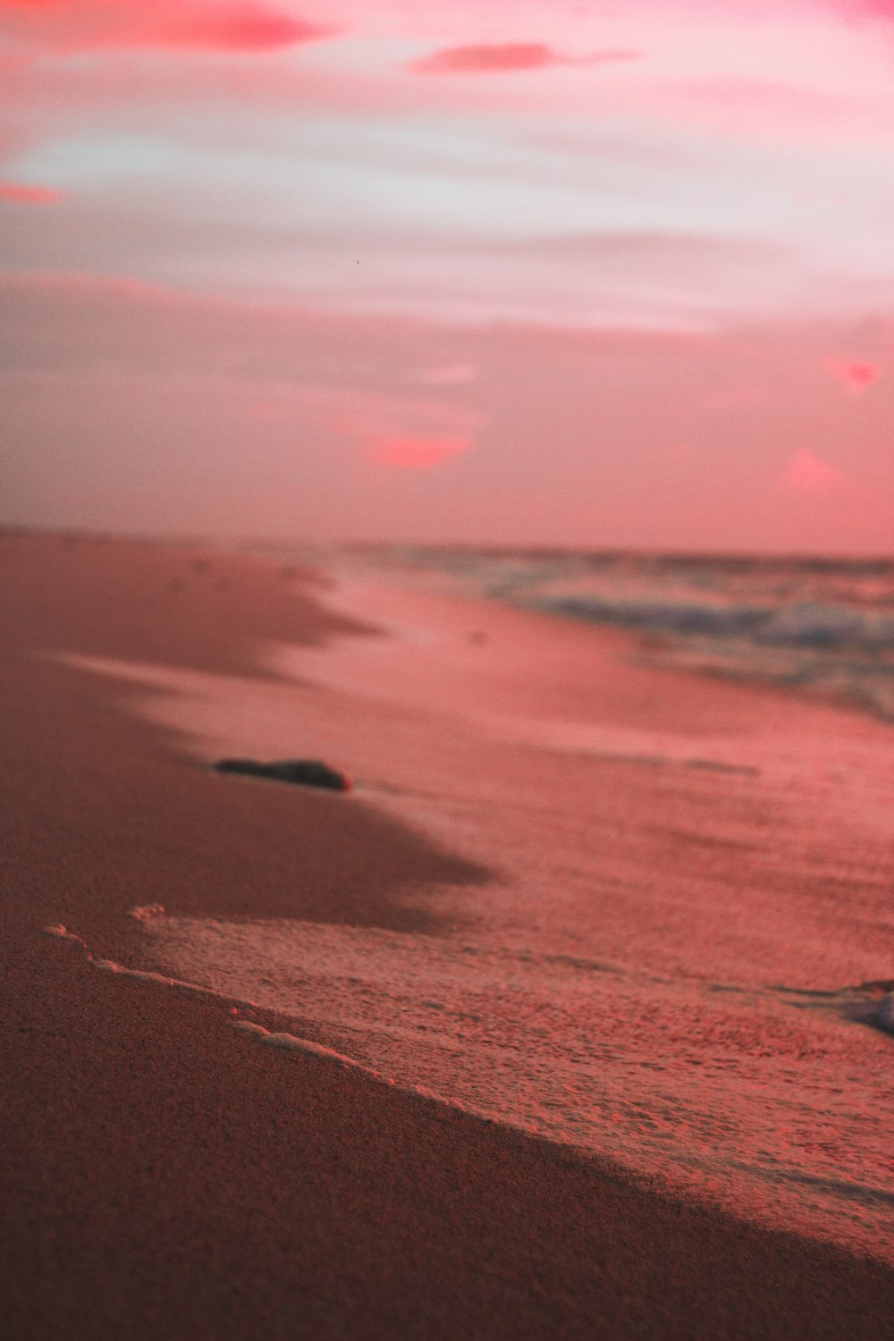 selective focus photography of wet shore during daytime