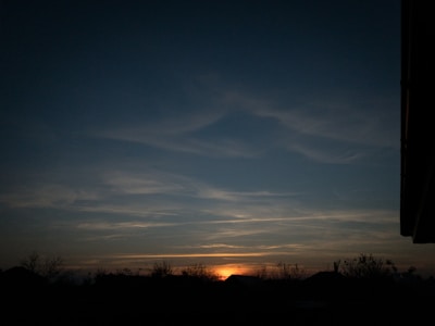 The peaceful skyline at dusk with silhouettes of tall trees around the property.