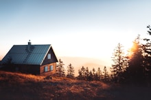 black and brown house near trees