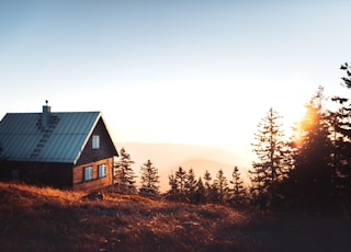 black and brown house near trees