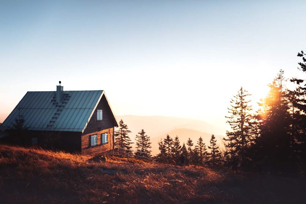 maison noire et brune près des arbres