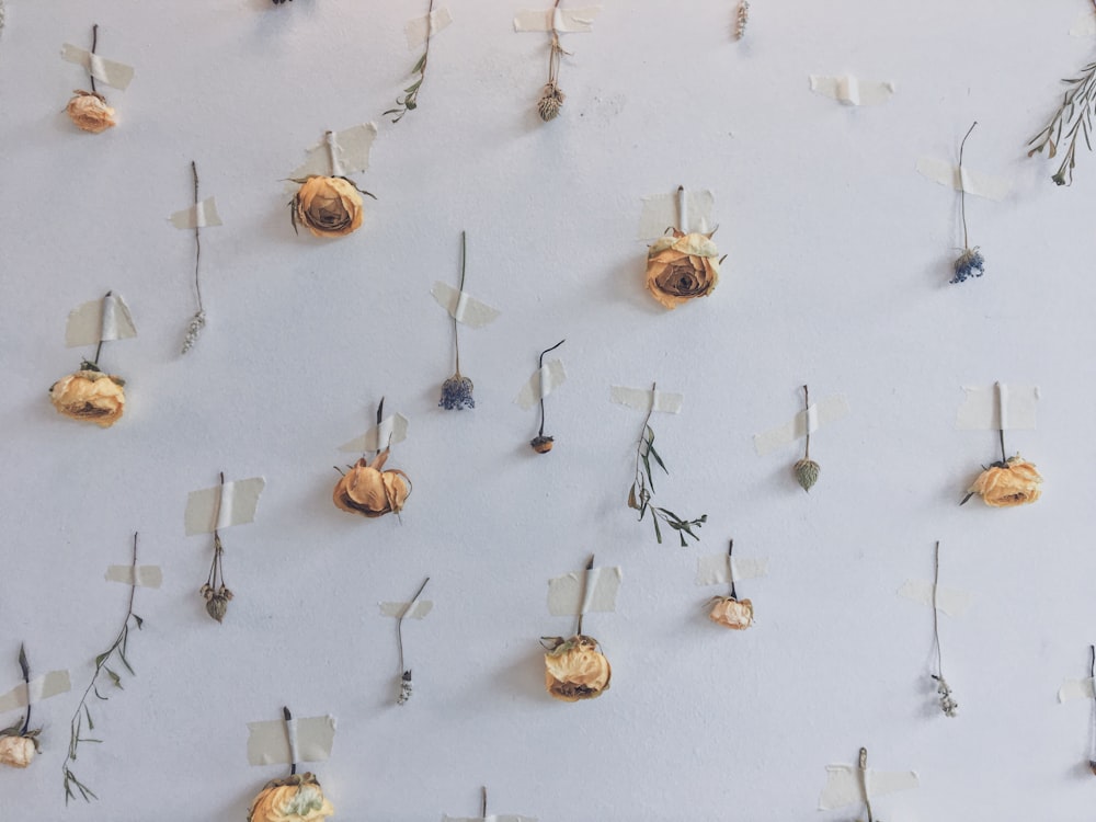 assorted petaled flowers on wall